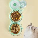 Obenansicht von grünem Futtertablett mit Katzenfutter.