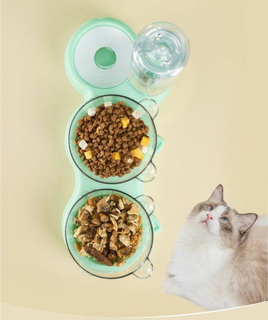 Obenansicht von grünem Futtertablett mit Katzenfutter.