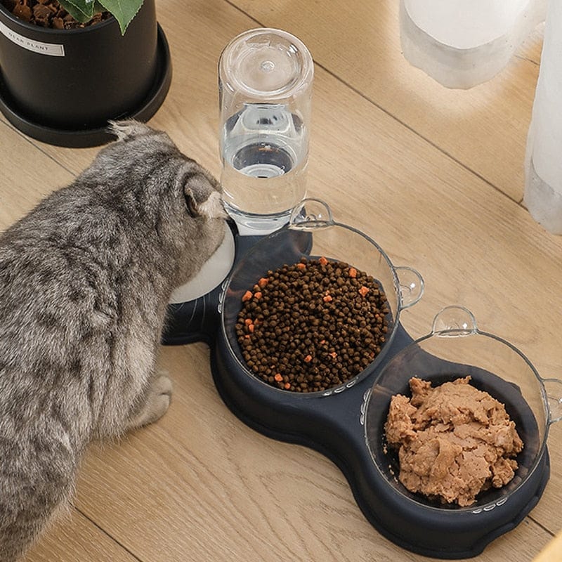 Die Katze trinkt Wasser neben Schalen mit Trockenfutter und Nassfutter.