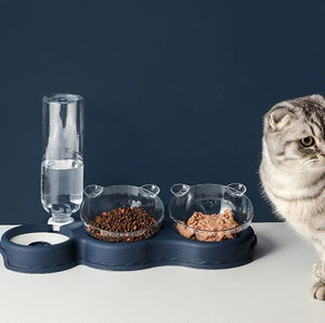 Die Katze steht neben einem Futternapf mit Trockenfutter, Nassfutter und einer Wasserflasche