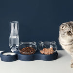 Die Katze steht neben einem Futternapf mit Trockenfutter, Nassfutter und einer Wasserflasche.