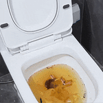 Turbo Luftdruck Entstopfer ordentlich neben der Toilette verstaut