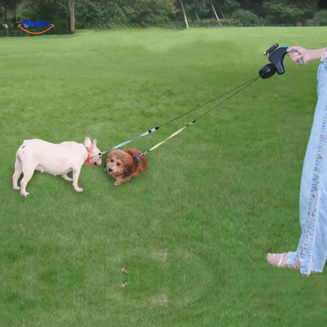 ZweiHunde Leine - Perfekt für Spaziergänge im Freien mit Ihren Hunden. Entdecken Sie die Vorteile auf www.middo.de!