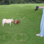 ZweiHunde Leine - Perfekt für Spaziergänge im Freien mit Ihren Hunden. Entdecken Sie die Vorteile auf www.middo.de!