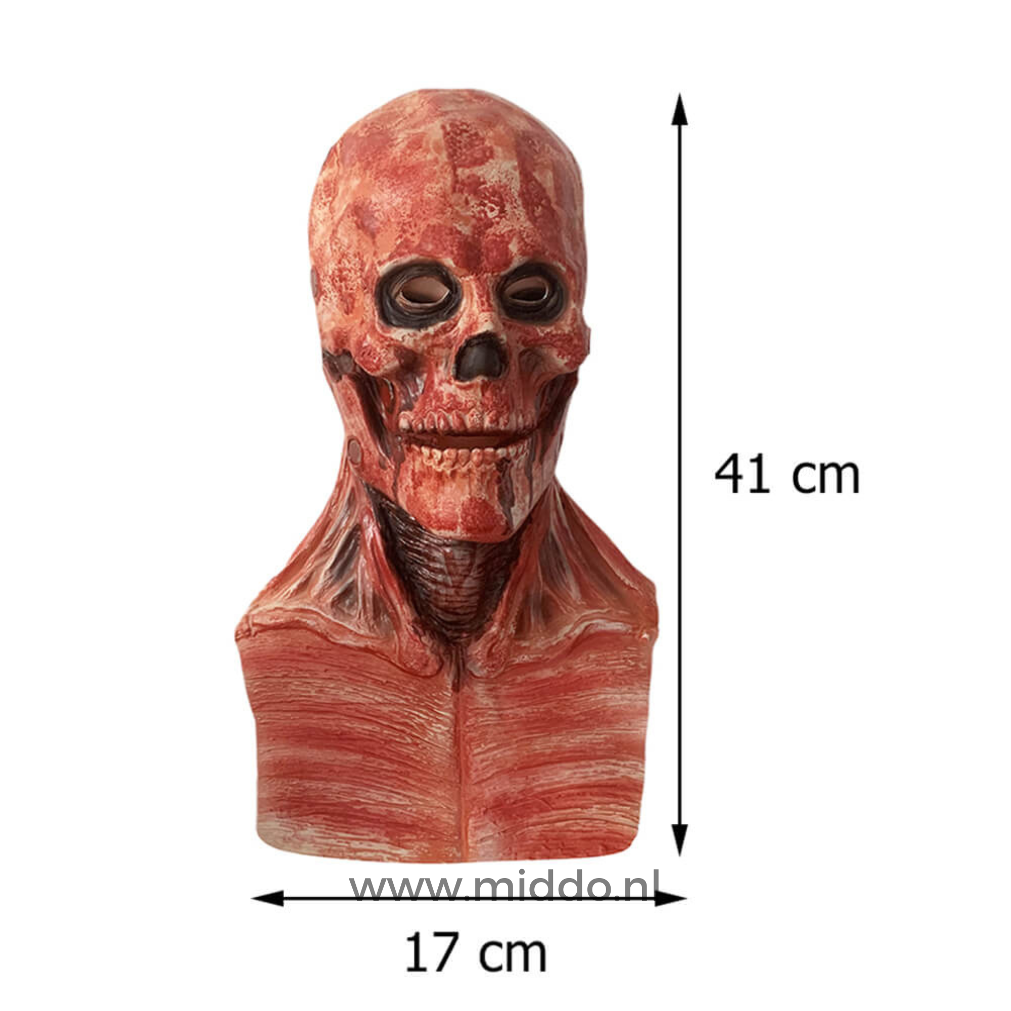 Ultra realistisches Peel-off Halloween-Maske mit den Abmessungen von 41 cm hoch und 17 cm breit.
