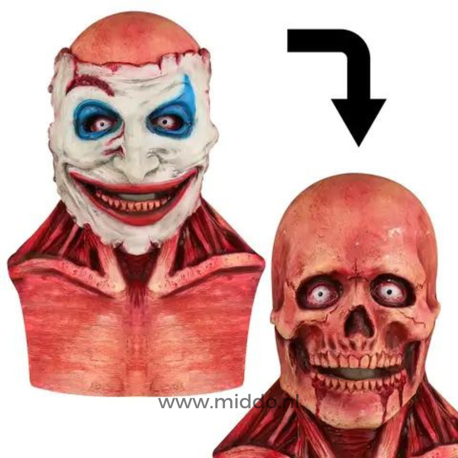 Doppelgesicht Halloween Maske, Gesicht wechselt von Clown zu Schädel.