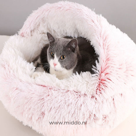 Katze in rosa weiches rundes Haustierbett SoftSnuggle