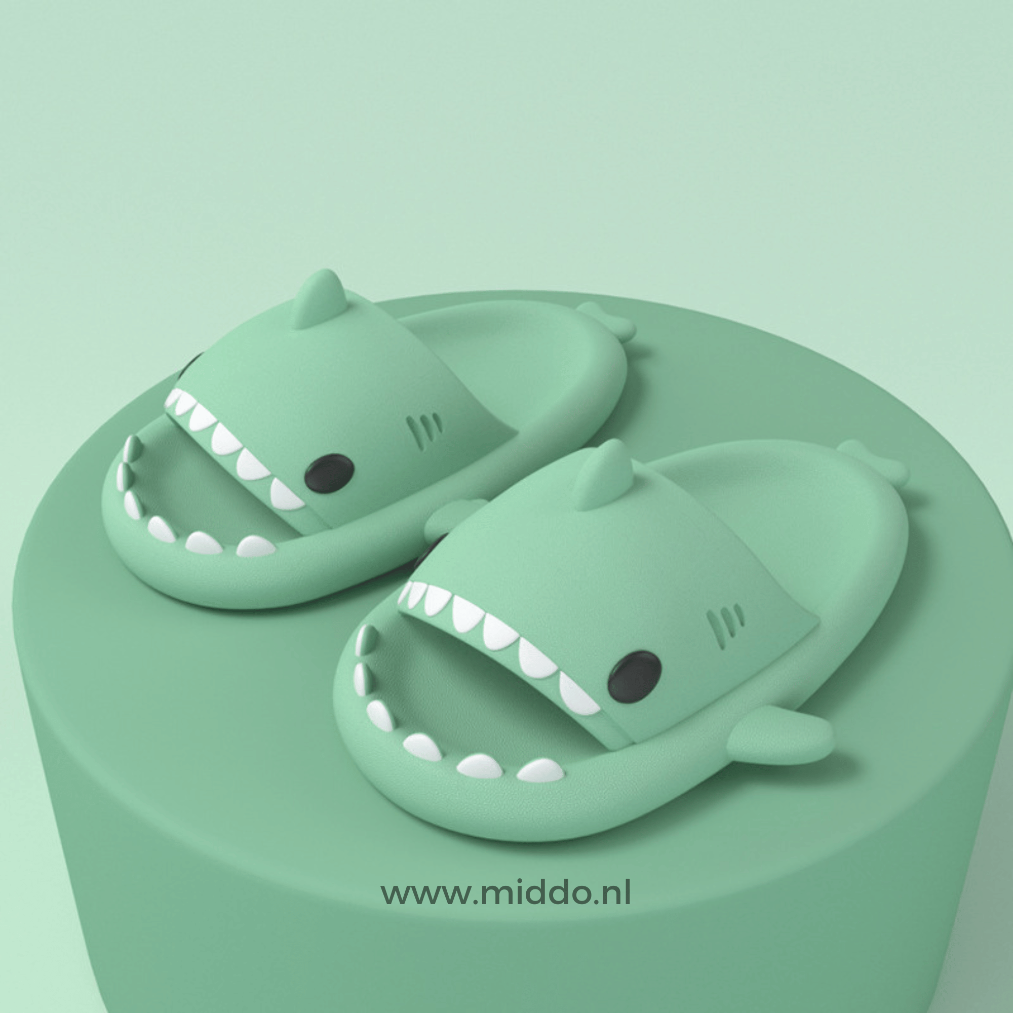 ZomerSharkies hellgrüne Flip-Flops auf hellgrünem Hintergrund - www.middo.de