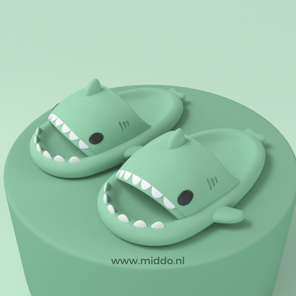 ZomerSharkies hellgrüne Flip-Flops auf hellgrünem Hintergrund - www.middo.de