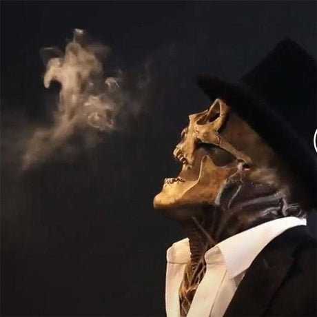 Seitenansicht einer realistischen Skelettmaske mit beweglichem Kiefer und schwarzem Zylinder für Halloween
