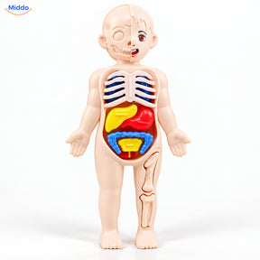 Anatomie-Spielset für Kinder