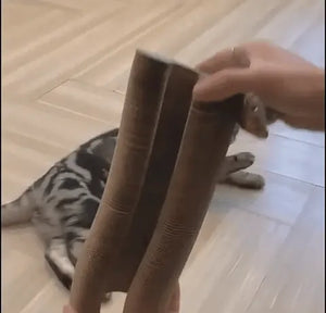 Der Katzenscratcher – Ansicht 2