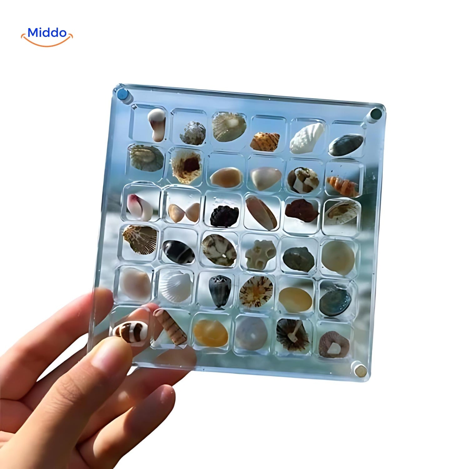Displaycase™ Elegante Displaylösungen