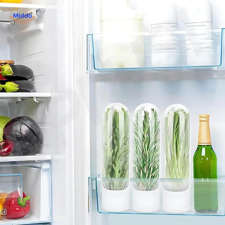 Freshherbkeeper™ Frische Petersilie Aufbewahren