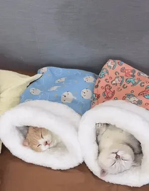 titel Furhaven Kuscheliges Katzenbett Gelb Bärenmuster - Test von