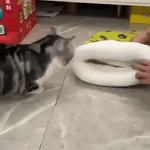 <titel>Furhaven Kuscheliges Katzenbett Gelb Bärenmuster - Test von middo.nl</titel>