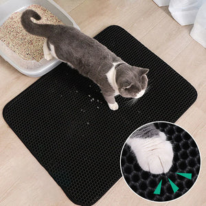 Katze läuft auf einer rutschfesten Katzenstreumatte für Katzenstreu