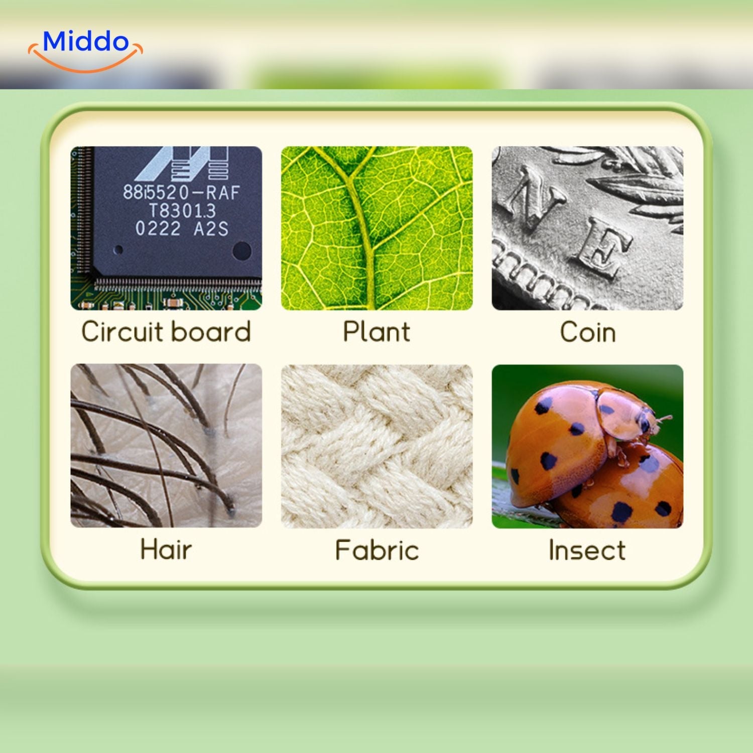 Mikroskop Kinder LED-Beleuchtung hohe Auflösung middo.nl