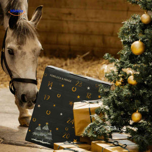 Pferde Adventskalender mit Pferd, Weihnachtsstimmung und Geschenken