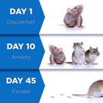 Schritte zur Mäusevertreibung mit dem Pest Reject Gerät