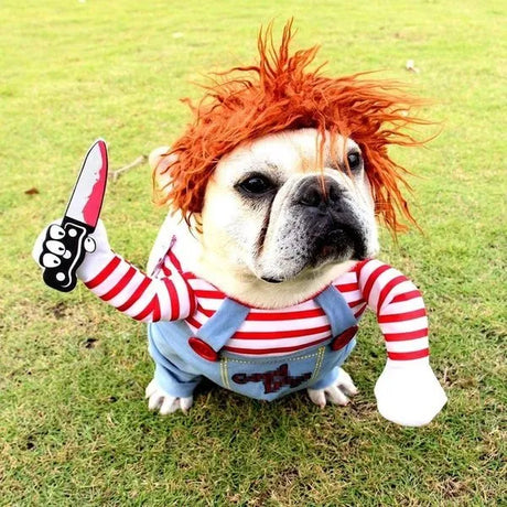 Bulldog in gruseligem Puppenkostüm mit rotem Haar und Messer