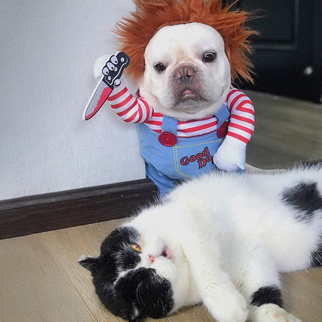 Hund in gruseligem Puppenkostüm mit liegender Katze neben sich