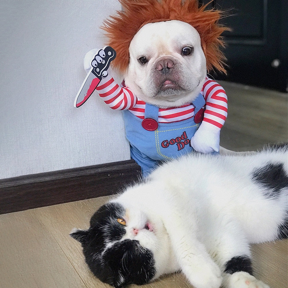 Hund in gruseligem Puppenkostüm mit liegender Katze neben sich.