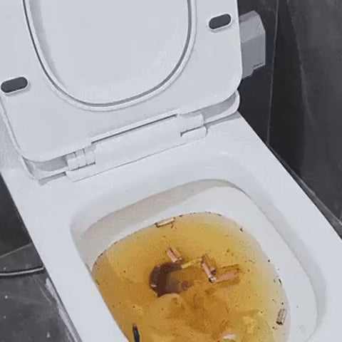 Turbo Luftdruck Entstopfer ordentlich neben der Toilette verstaut