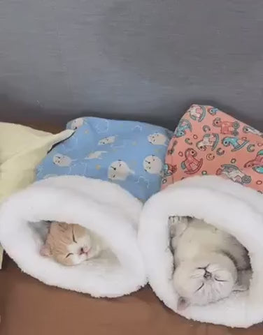 titel Furhaven Kuscheliges Katzenbett Gelb Bärenmuster - Test von