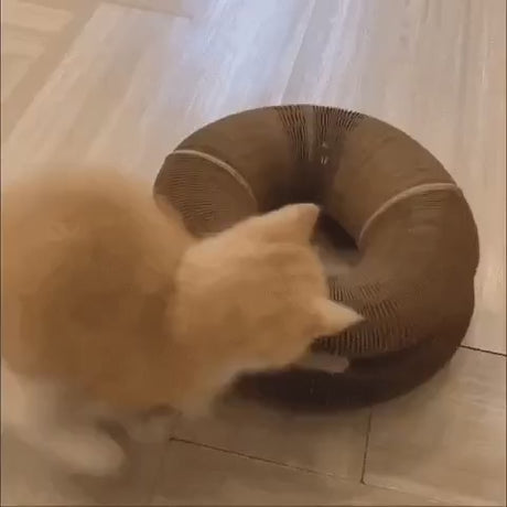 Produktvideo: Der Katzenscratcher™ | Kratzen und Spielen für jede Katze