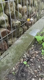 ZenTone Regenmusik Erlebnis Outdoor-Szene