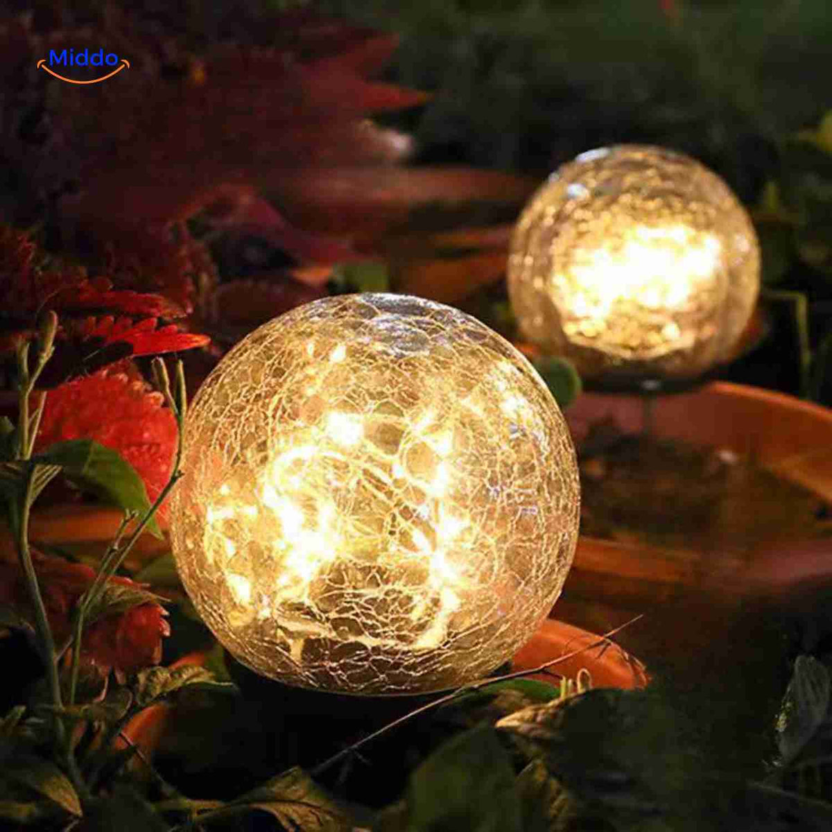 solvion lampe dekorative led-lampen in blumentopfbeleuchtung www.middo.de