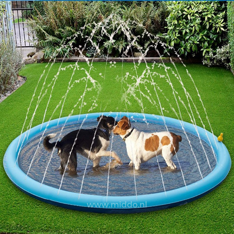 Zwei Hunde spielen auf einer Wassermatte mit sprühenden Brunnen