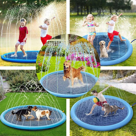 Kinder und Hunde rennen und spielen auf einer Wassermatte