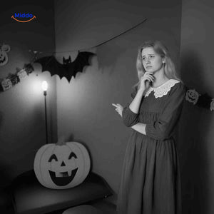 Spooklicht-Lampe für Halloween – Stimmungsvoll dekorieren mit LED-Bat www.middo.de