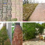 Vor und Nach der Anwendung von Weedmaster™