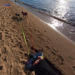 Wandern mit Hunden am Strand mit einer einziehbaren Leine