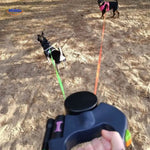 spazieren gehen mit zwei Hunden auf Sand mit einer einziehbaren Leine